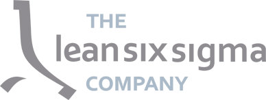 The Lean Six Sigma Company